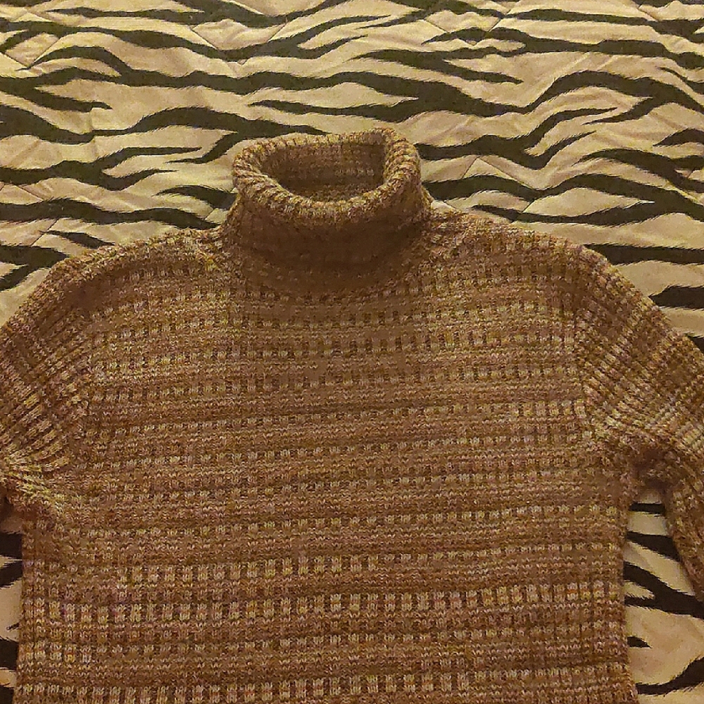 Absolutely Brown and Tan Turtleneck Sweater